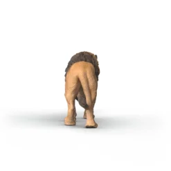 Afrikanischer Löwe
