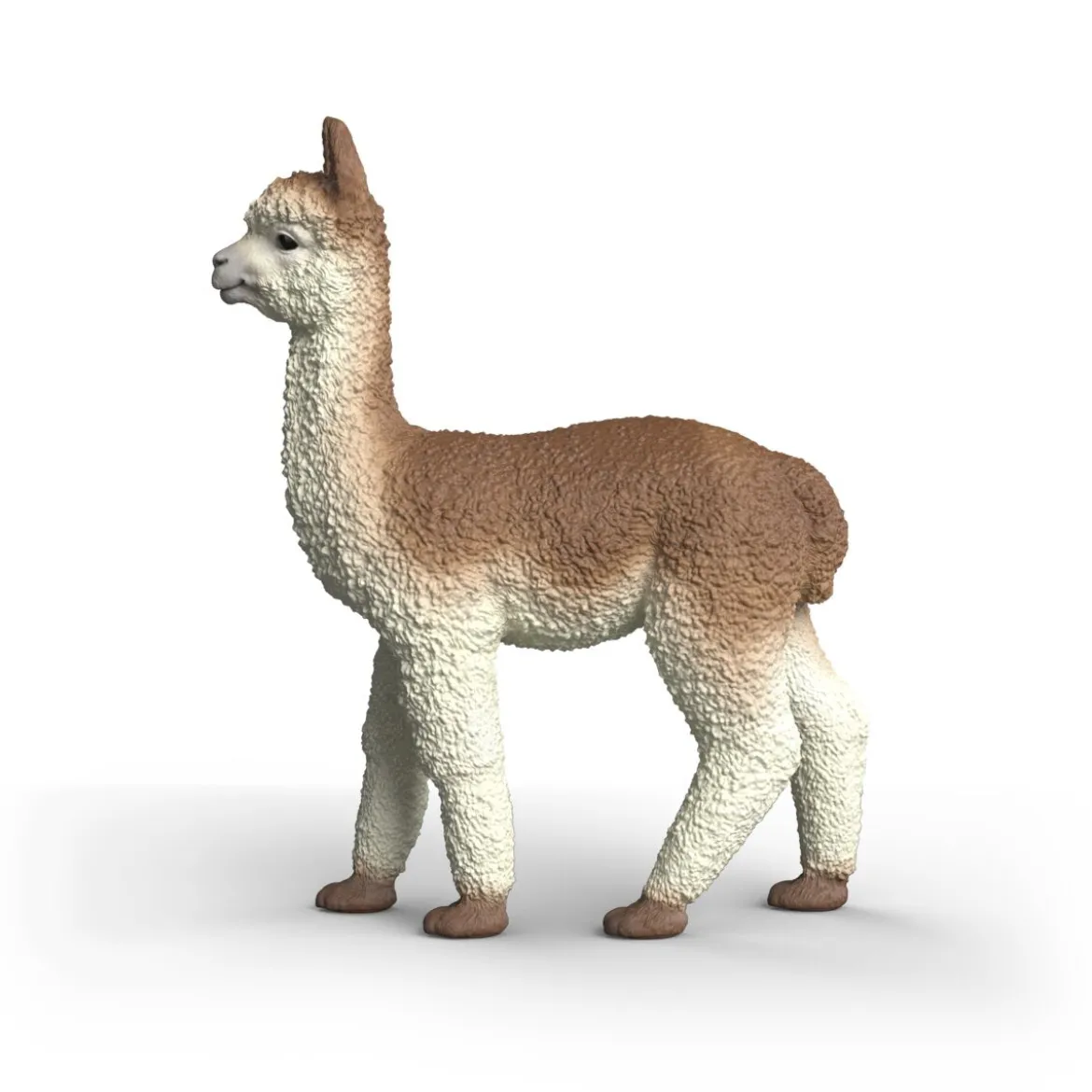 Alpaka