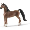 American Saddlebred Wallach