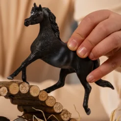 Araber Hengst
