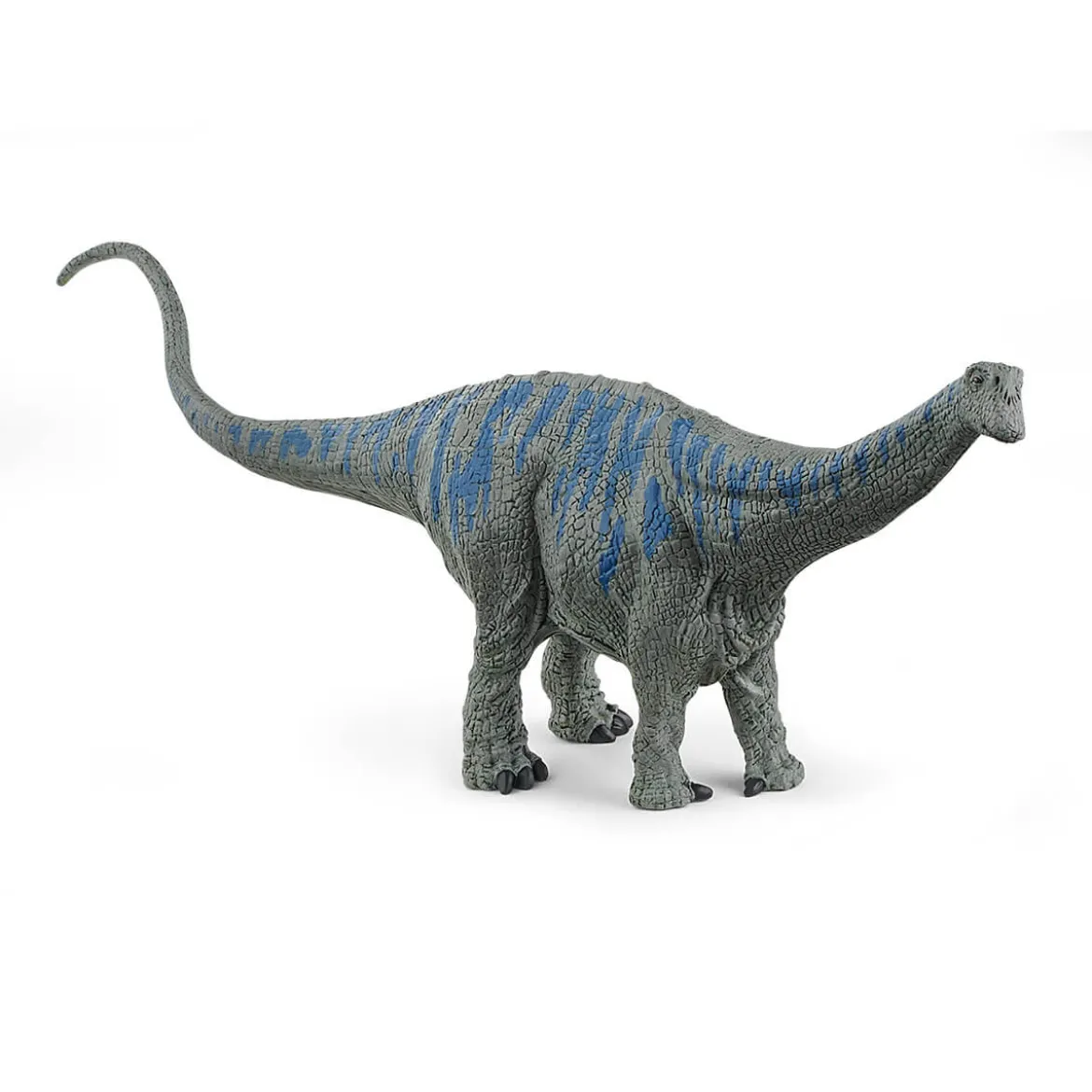 Brontosaurus