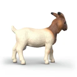 Burenziege