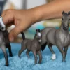 Cheval de Selle Francais Stute