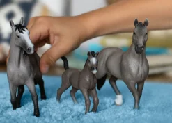 Cheval de Selle Francais Stute