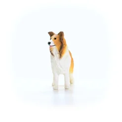 Collie