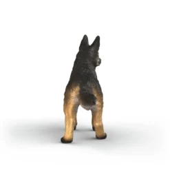 Deutscher Schäferhund Hündin