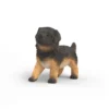 Deutscher Schäferhund Welpe