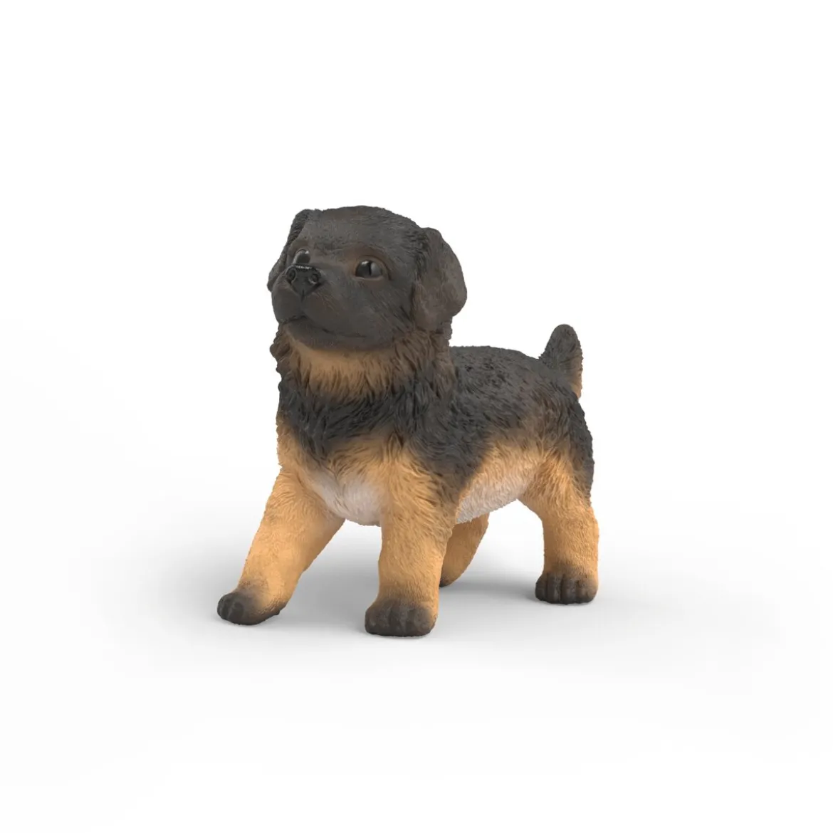 Deutscher Schäferhund Welpe