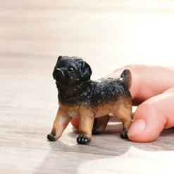 Deutscher Schäferhund Welpe