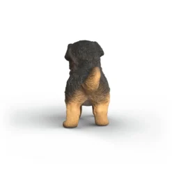Deutscher Schäferhund Welpe
