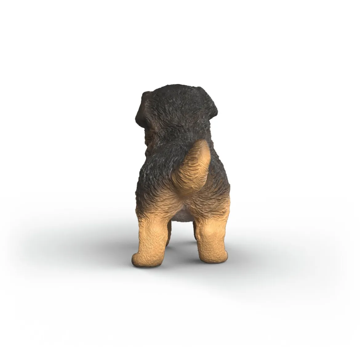 Deutscher Schäferhund Welpe