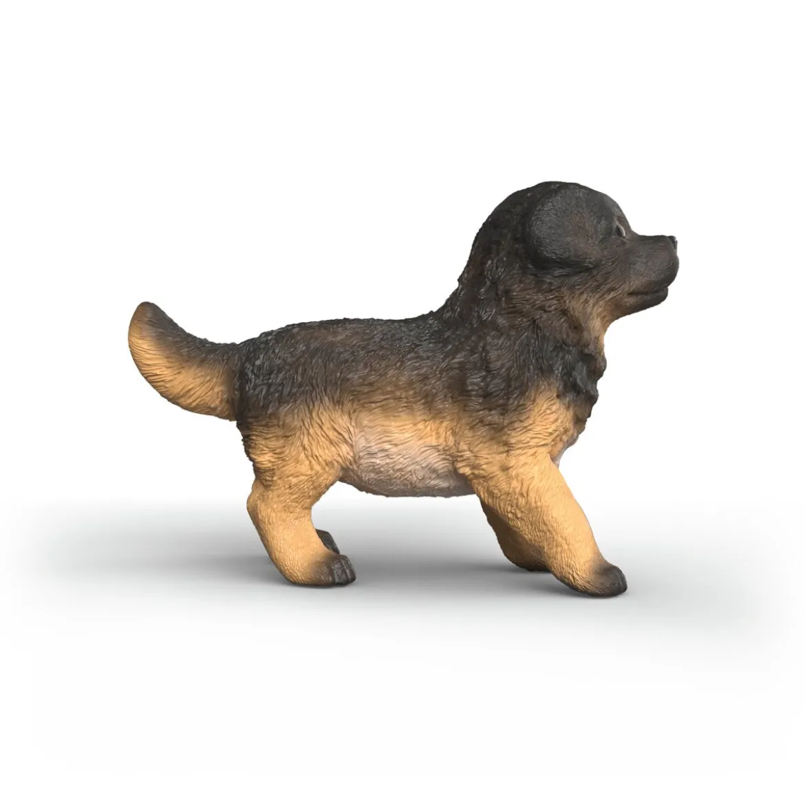 Deutscher Schäferhund Welpe
