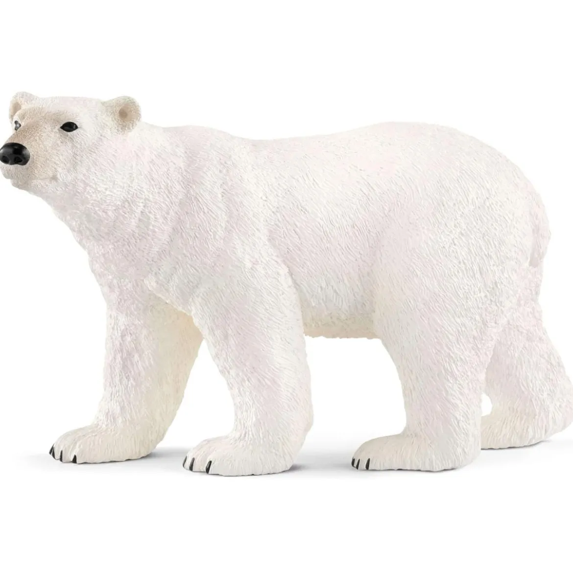 Eisbär (bundle)