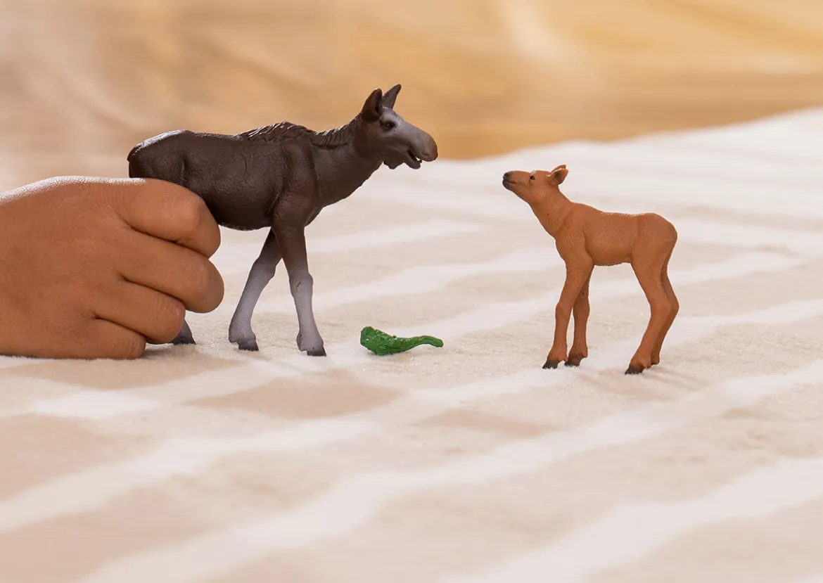 Elchkuh mit Kalb