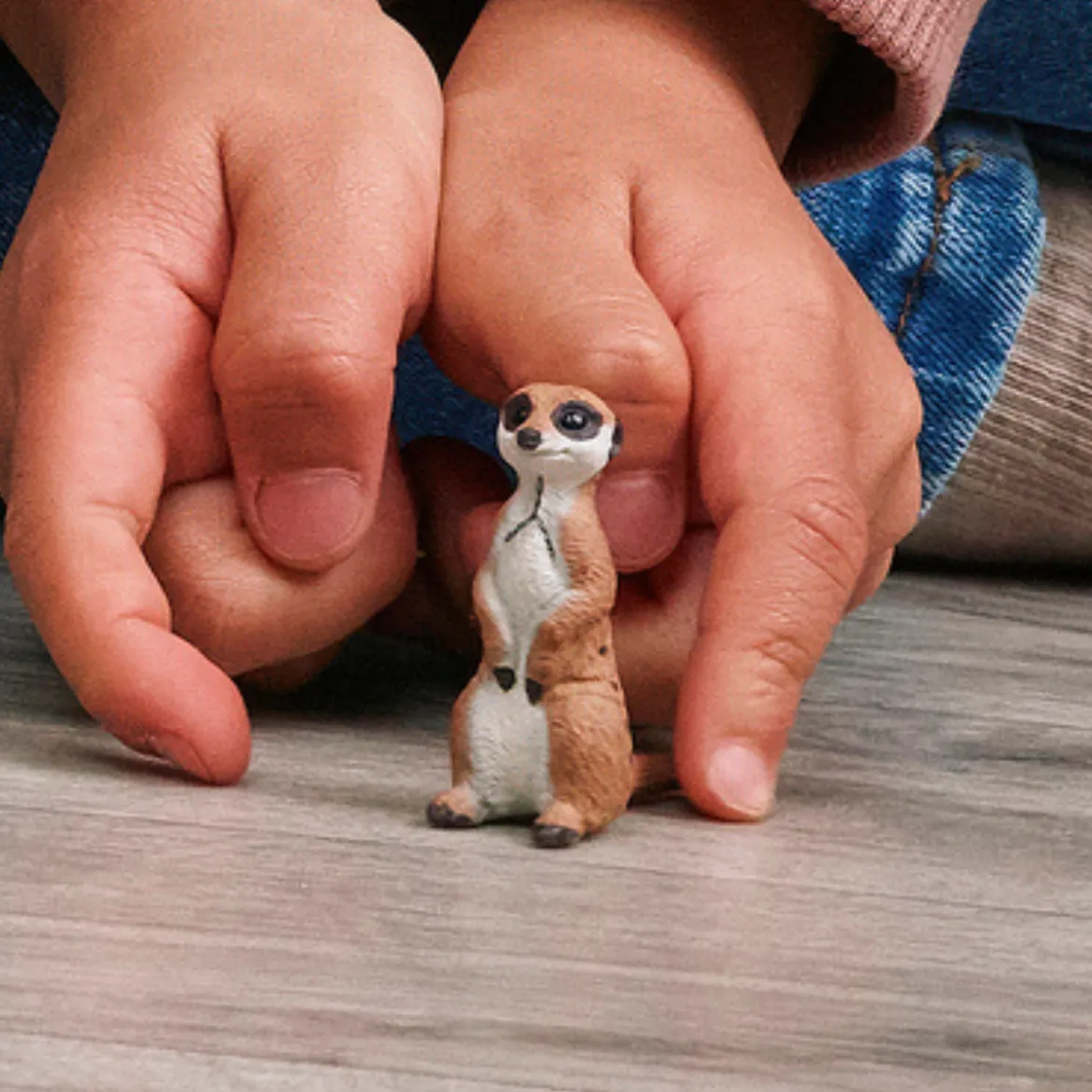 Erdmännchen
