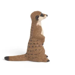 Erdmännchen