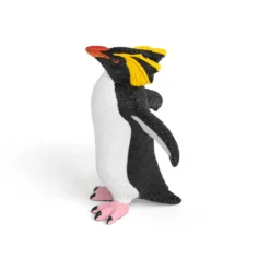 Felsenpinguin