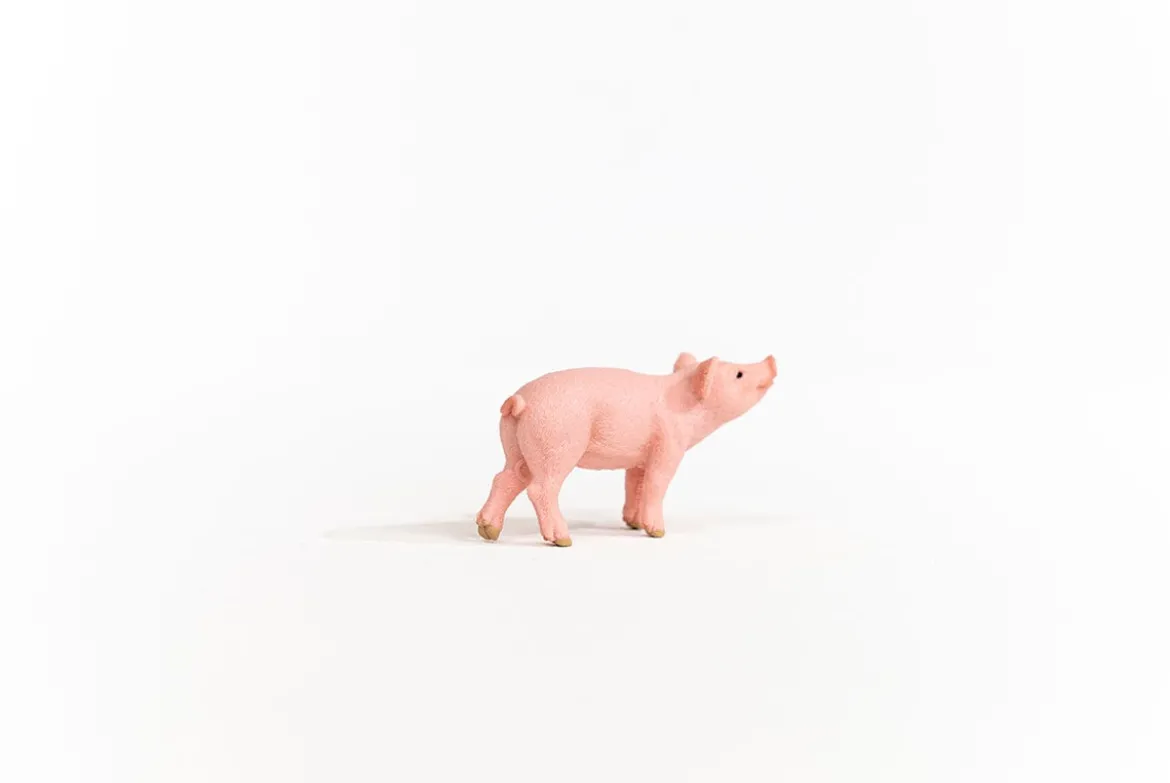 Ferkel