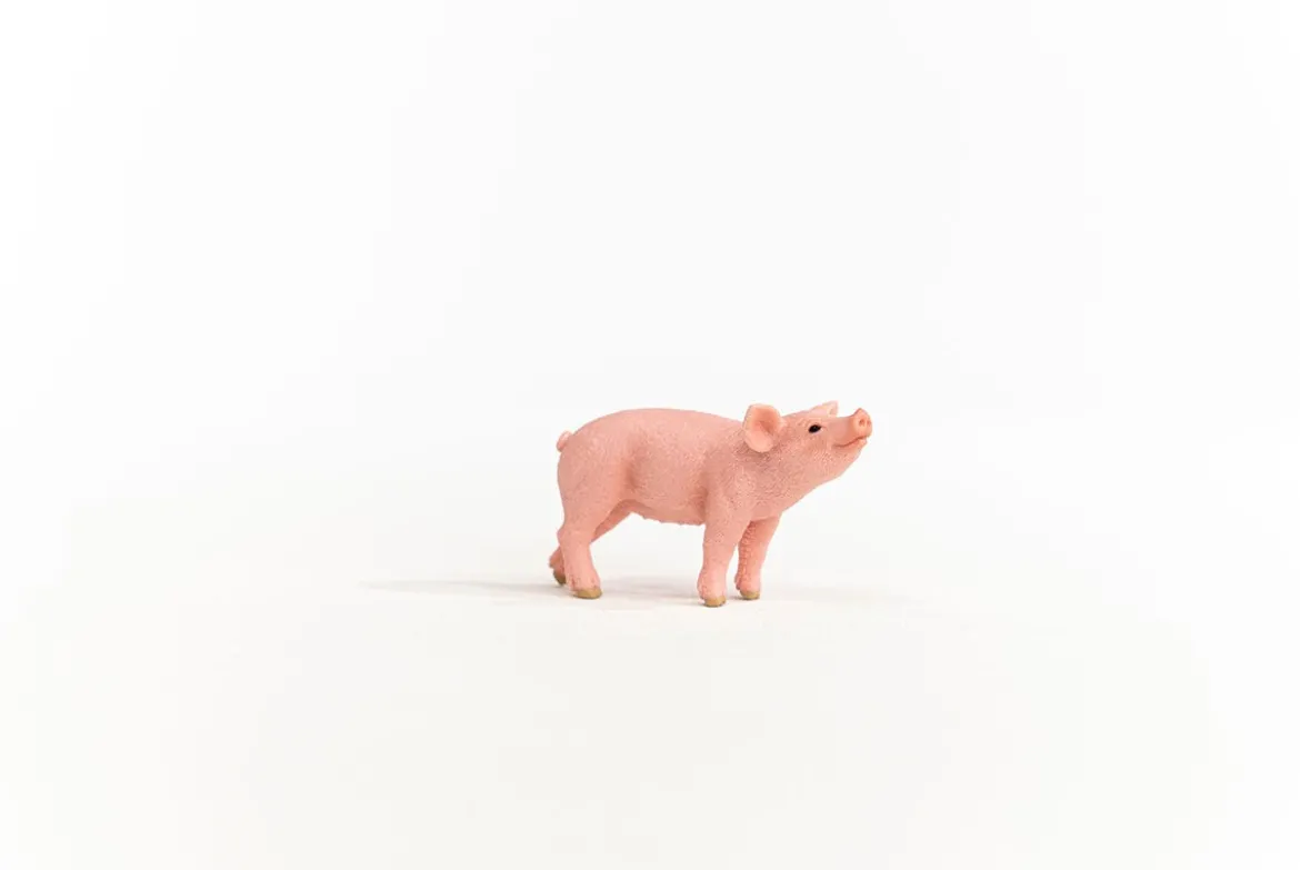 Ferkel
