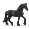Friese Stute