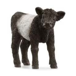 Galloway Kalb