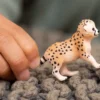 Gepardenbaby