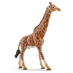 Giraffenbulle