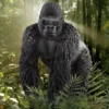 Gorilla Männchen