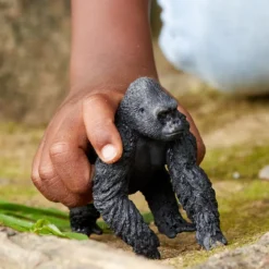 Gorilla Männchen