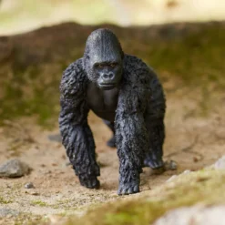 Gorilla Männchen