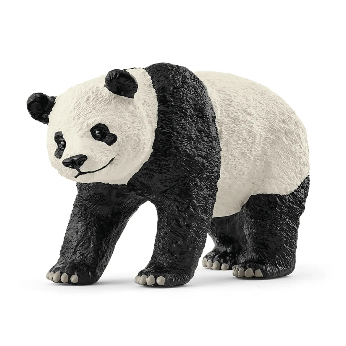 Großer Panda