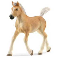 Haflinger Fohlen