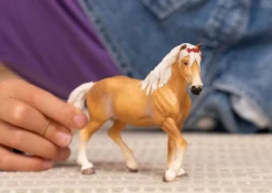 Haflinger Stute