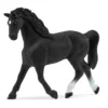Holstein Stute