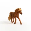 Island Pony Hengst