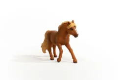 Island Pony Hengst