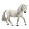 Island Pony Stute