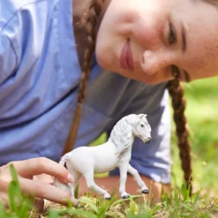 Island Pony Stute
