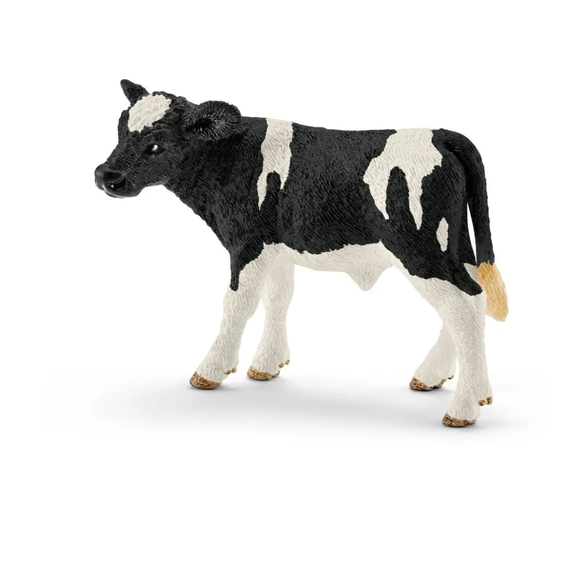 Kalb Schwarzbunt