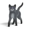 Karajan der Kater