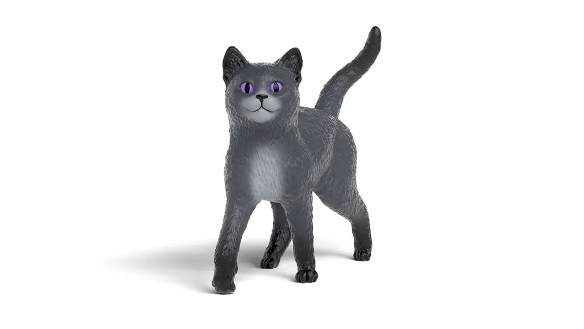 Karajan der Kater