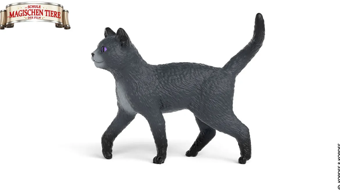 Karajan der Kater