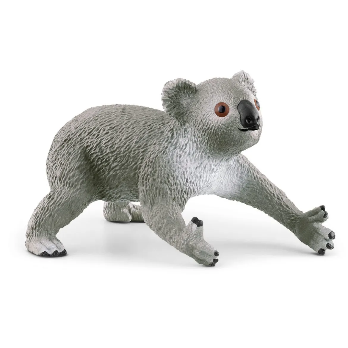 Koala Mutter mit Baby