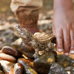 Krokodil
