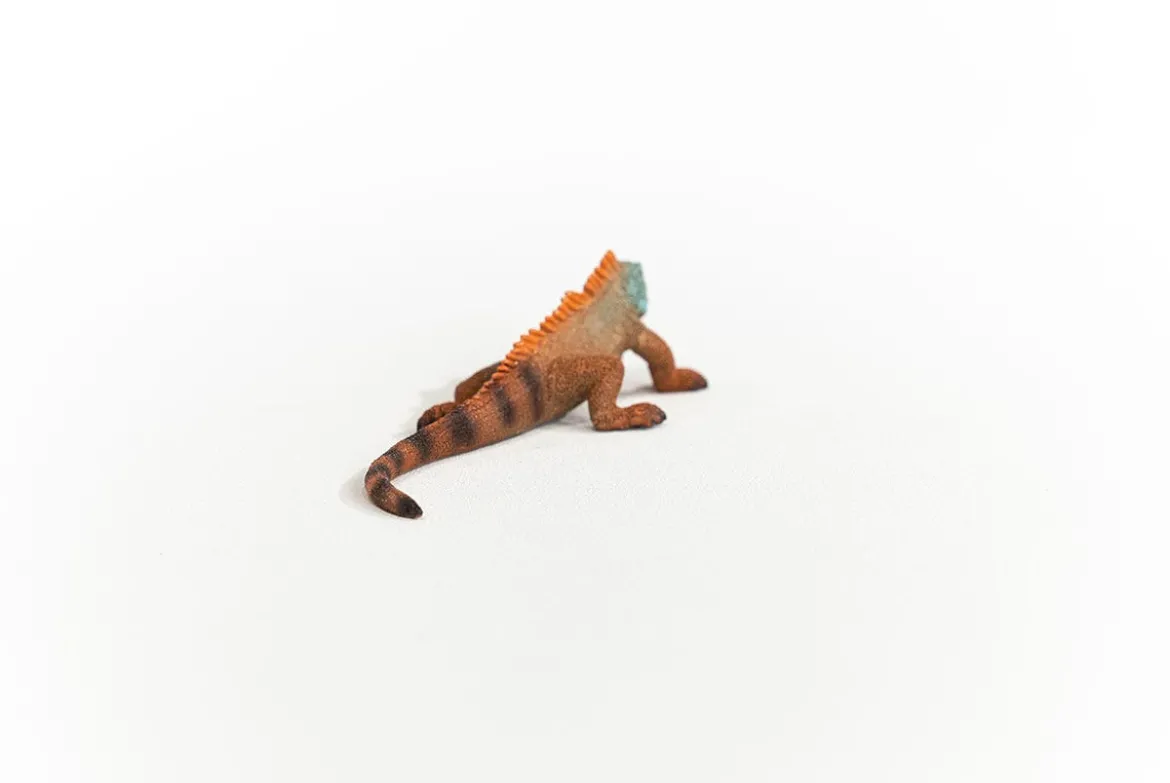 Leguan