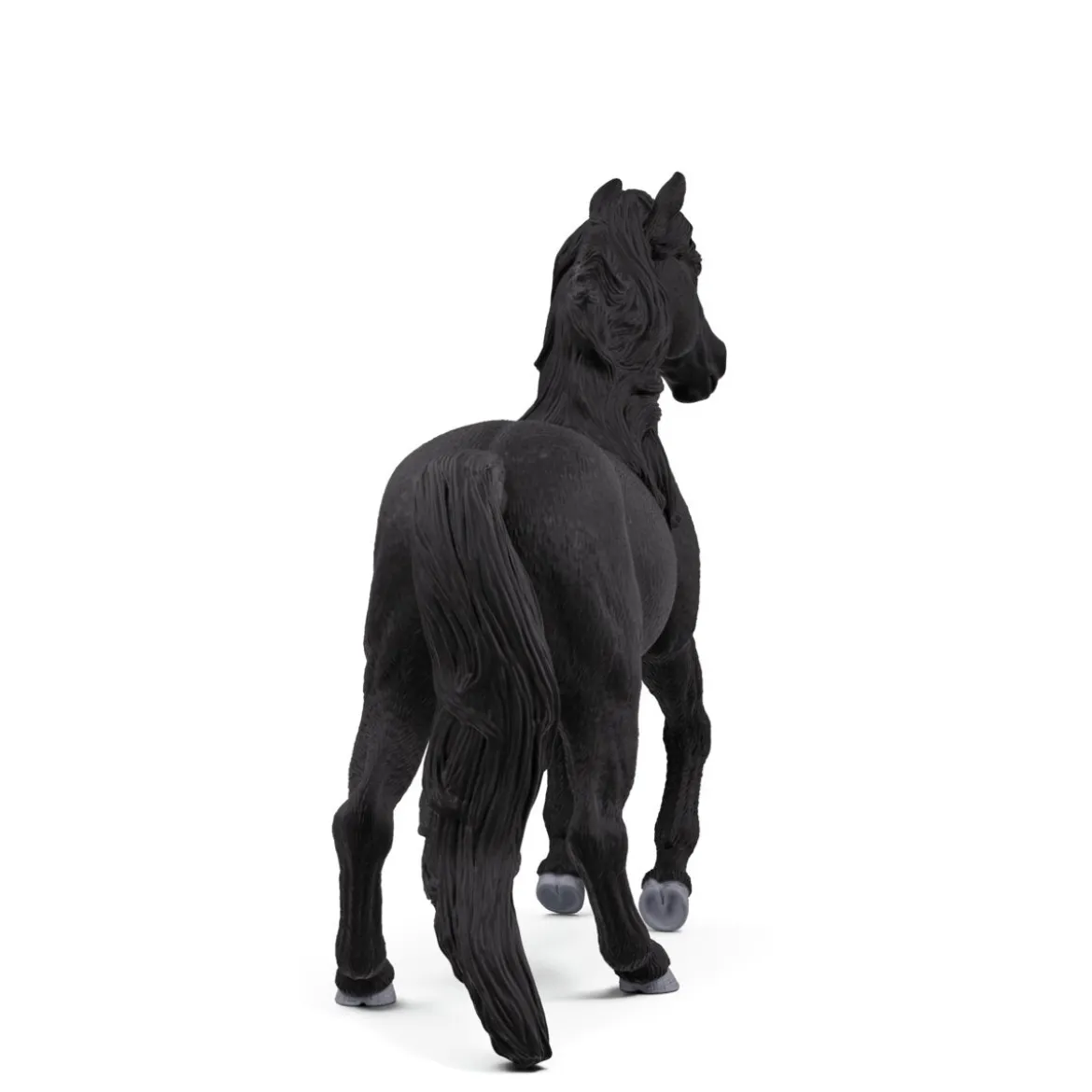 Lusitano Hengst