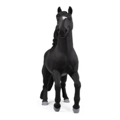 Lusitano Hengst