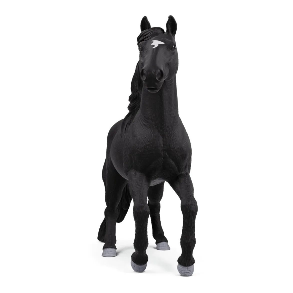 Lusitano Hengst