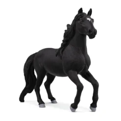 Lusitano Hengst