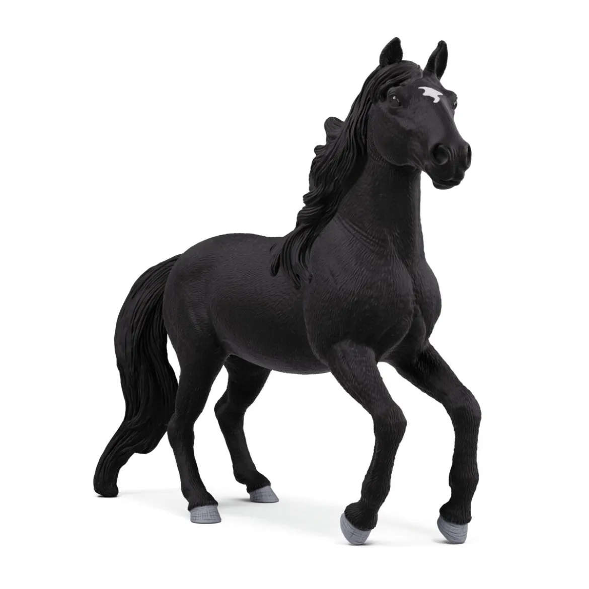 Lusitano Hengst